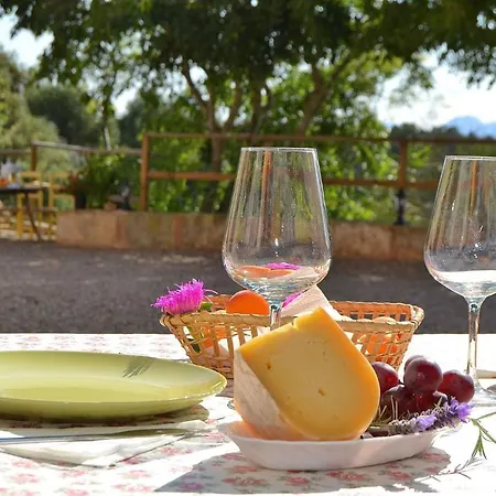 061 Rafal Des Turo Etv8343 By Mallorca Charme Holiday home *